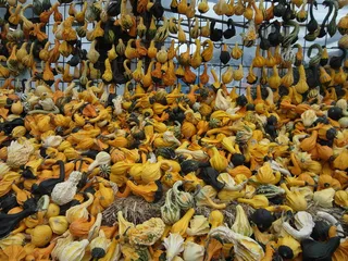 装饰南瓜，南瓜，黄，黑，白，小，装饰，形状