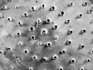 洞，灰色，水罐，金属，铁，铝，铁锈，垃圾场