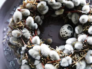 复活节，春天，花朵，自然，基础，无人，特写，高角度观看