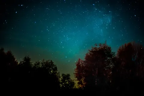 长,曝光,蠕虫,视线照片,森林,银河,恒星,夜晚 长,曝光,蠕虫,视线照片,森林,银河,恒星,夜晚