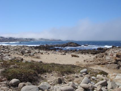 卡梅尔，17英里车程，海岸，太平洋，海岸线，水，雾，海岸