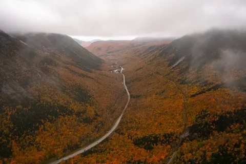 被黄花环绕的河流