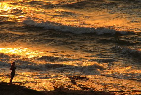 代币、夏季、度假、海洋、沙滩、自然、旅游、阳光