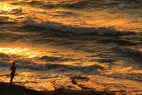 代币、夏季、度假、海洋、沙滩、自然、旅游、阳光