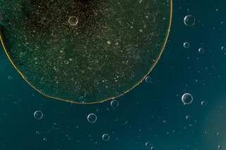 水中油, 油眼, 液体, 摘要, 质地, 宏观, 油, 关闭