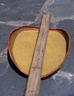 --它是刚刚脱粒和风选的