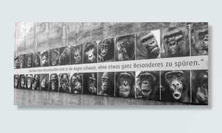 猿，艺术，猿，动物，谚语，生物，大猩猩，动物园