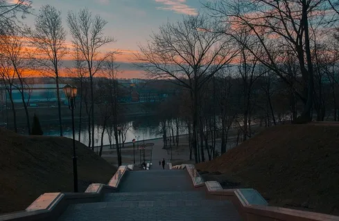 城市，风景，自然，天空，蓝色的花朵，矢车菊，黑暗，夜晚