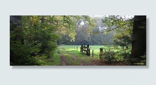 高大，树木，旁边，木制，栅栏，磅牌，秋天，风景