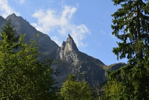 掩埋,阳光,群山,高山,树木,天空,植物,大自然之美 掩埋,阳光,群山,高山,树木,天空,植物,大自然之美