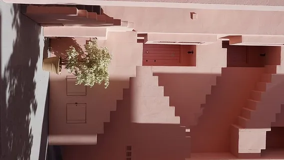 白天，在水泥楼梯附近的花瓶里种植绿色盆栽树木