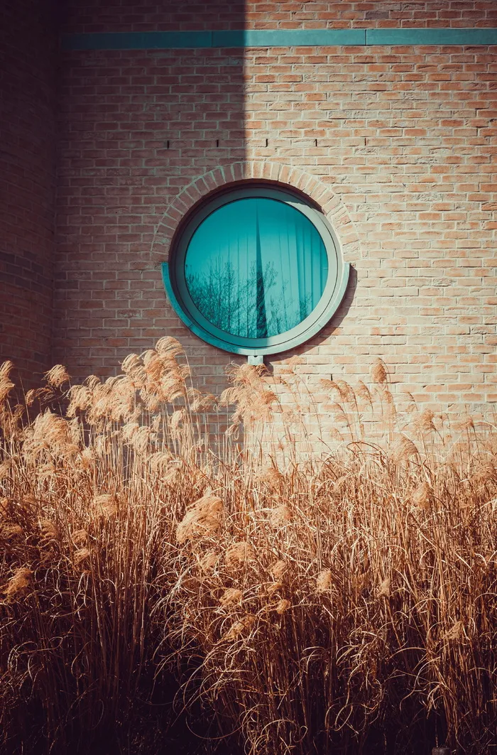 比利时，louvain la neuve，ottignies Louvaine la Nerve，砖，白色，房屋，木质，结构