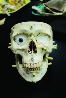 黑色表面上的白色头骨