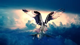 大自然，海洋，天空，海洋，水，喷气式飞机，喷气式飞机，鱼鹰