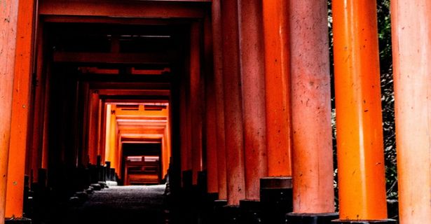 建筑，建筑，走廊，神社，京都，福西米纳里神社，柱子，柱子