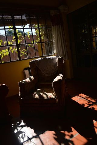 扶手椅，客厅，午睡，休息，背光，窗户，室内，坐着