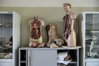 桌上的人体解剖模型