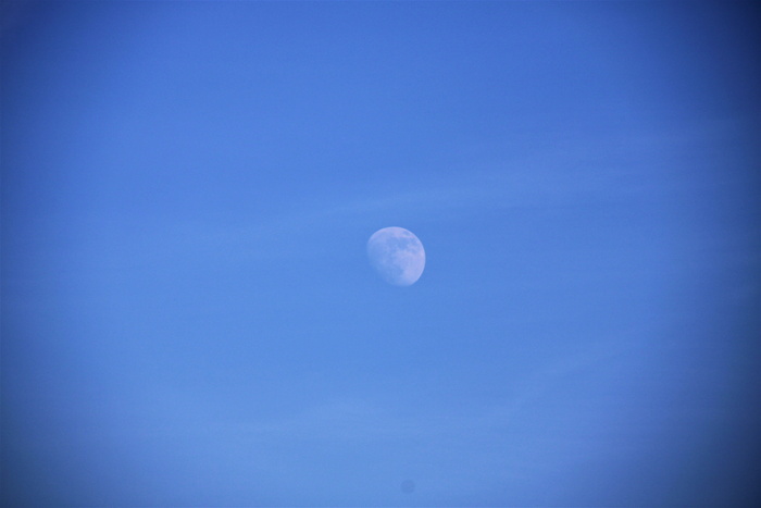 自然、户外、月亮、天空、夜晚、宇宙、外层空间、天文学