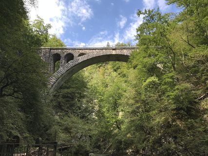 布莱德，公园，斯洛文尼亚，小径，桥梁，植物，树木，建筑结构