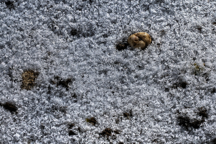 卵石，雪，融化，霜冻，自然，图案，背景，抽象