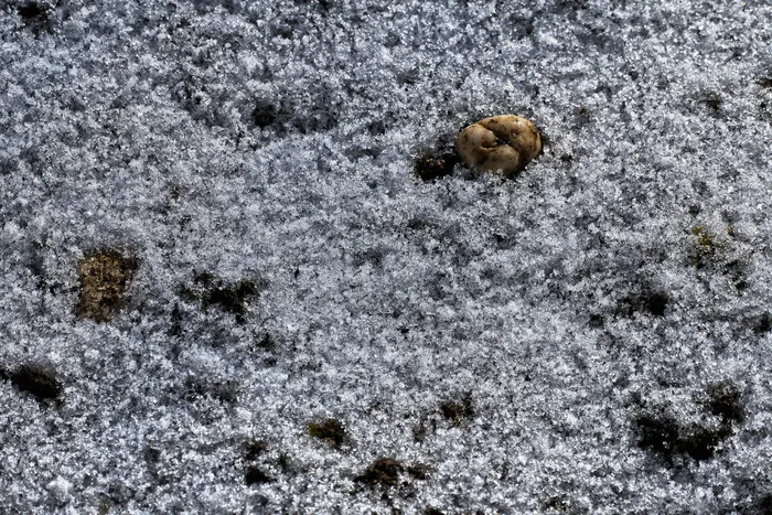 卵石，雪，融化，霜冻，自然，图案，背景，抽象