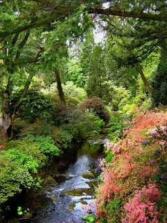 bodnant、gardens、wales、national、trust、flowers、有色、明亮 bodnant、gardens、wales、national、trust、flowers、有色、明亮