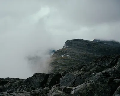 白天雾山 白天雾山