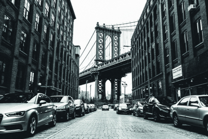 小飞象，布鲁克林