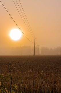 雾，太阳，日出，早晨，芬兰，斯堪的纳维亚，风景，风景