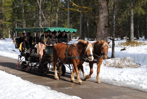 贝希特斯加登国家公园，国家公园，贝希特斯加登，拉姆索，马，马车，马出租车，冬季
