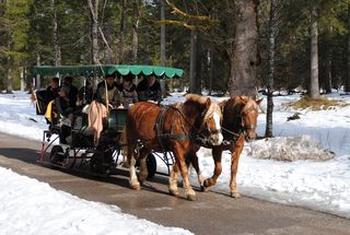 贝希特斯加登国家公园，国家公园，贝希特斯加登，拉姆索，马，马车，马出租车，冬季