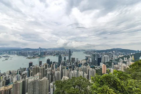 海洋附近的城市建筑和绿树 海洋附近的城市建筑和绿树