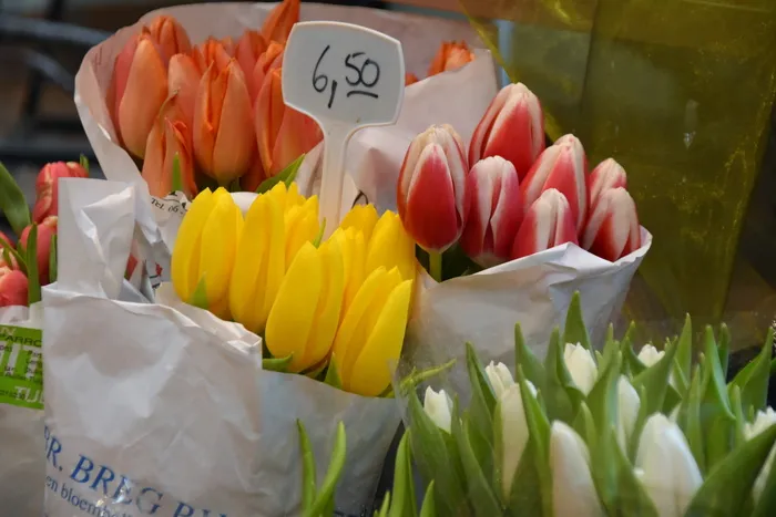 植物，插花，花束，花朵，花朵，kaltenweide 219a，埃尔姆肖恩，德国