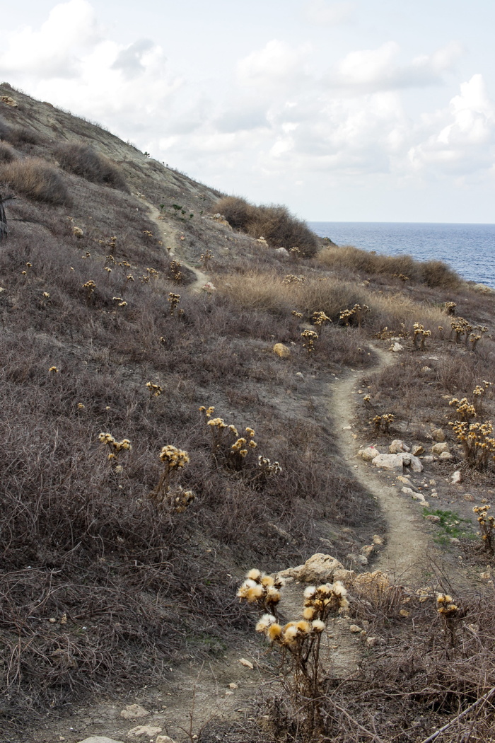 马耳他，ix xtajta，xagħra，无处可去，岛屿，海洋，异国情调，地中海