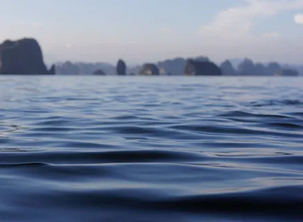 水、海、海岸、深海、岛屿、液体、陆地、植物 水、海、海岸、深海、岛屿、液体、陆地、植物