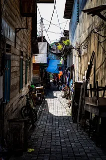 自行车、车辆、交通工具、自行车、道路、走道、车轮、机器