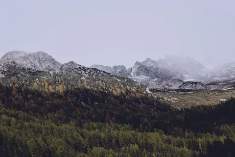山上的草地 山上的草地