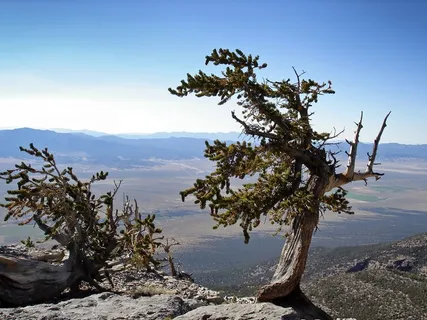 新罕布什尔州,风景区,风景区,山脉,平龙盖瓦,华盛顿山,山谷,自然 新罕布什尔州,风景区,风景区,山脉,平龙盖瓦,华盛顿山,山谷,自然