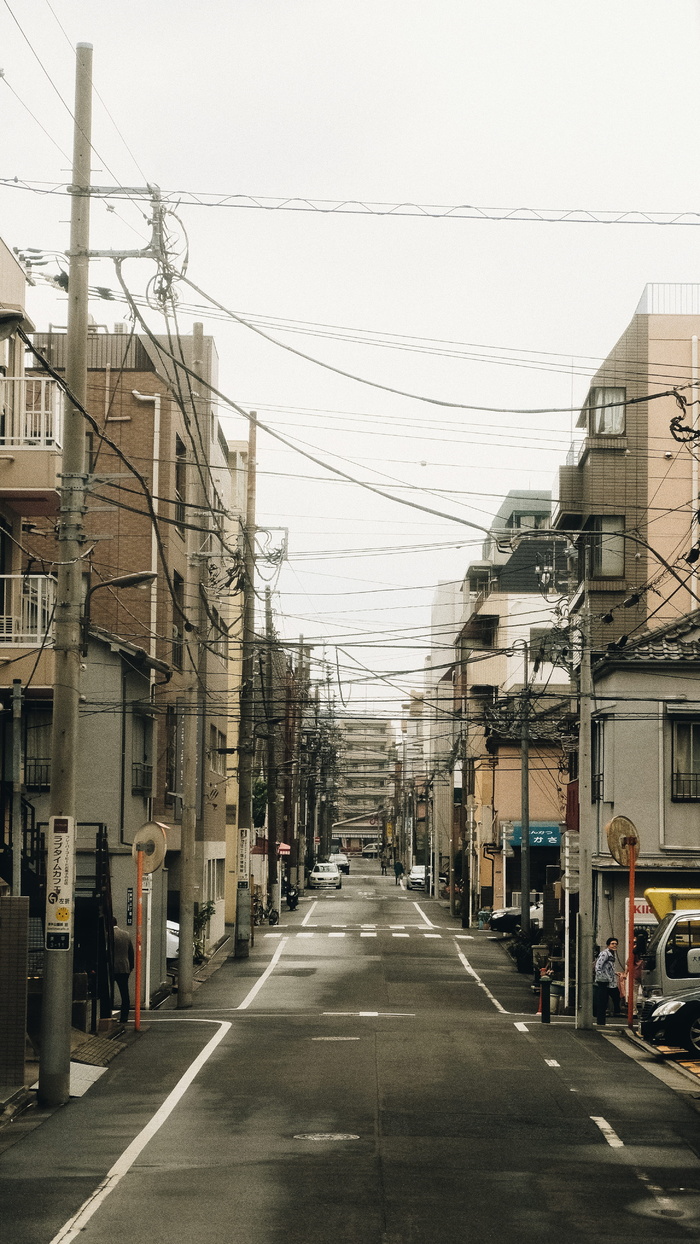 日本东京，路，十字路口，棕色，城市，城镇，温暖