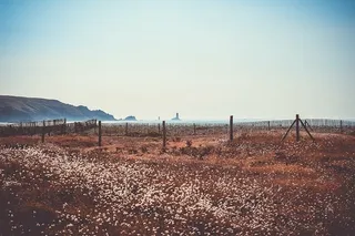 白色，花坛，蓝色，天空，海洋，海洋，水，篱笆