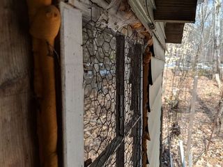 美国，新罕布什尔州，电线，窗户，蜘蛛网，古老，诡异，建筑