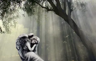 天使雕像，树，天使，雕塑，天使人物，雕像，沉思，库默