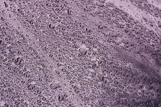 灰色和黑色花区地毯