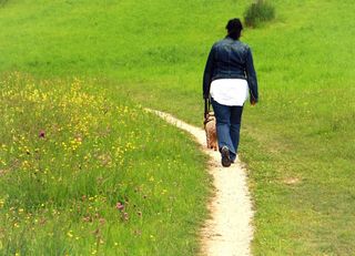 离开，跟踪，人，女人，狗，马上，走，走