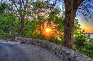 透过水泥路旁的绿树看日落