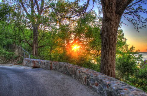 透过水泥路旁的绿树看日落 透过水泥路旁的绿树看日落