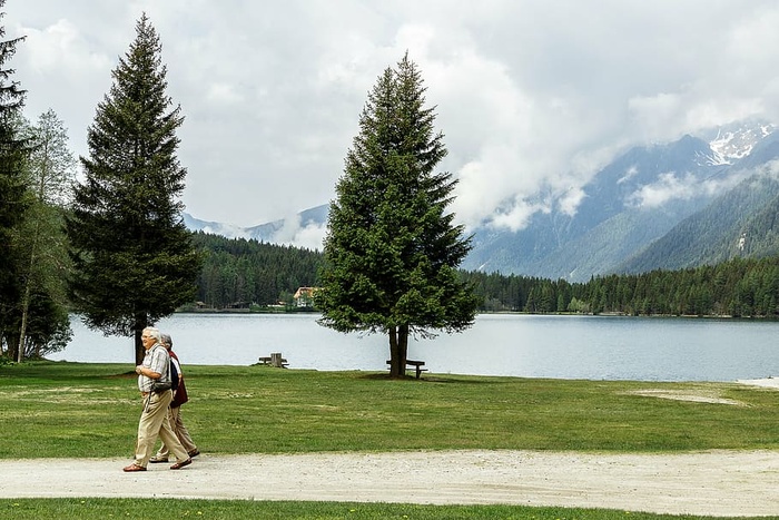 老年人，老年人，年龄，养老金领取者，人类，养老金领取者，树木，植物