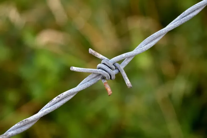 铁丝网，锈迹，节点，前景聚焦，特写，无人，植物，自然