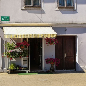 商店，花卉，商店，花卉商店，花卉，商店，零售，花卉，市场
