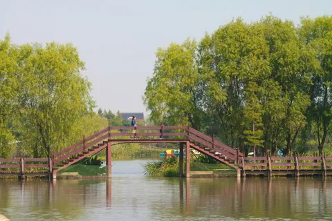 中国、太湖、木桥、湖泊、景观、花园、树木、植物 中国、太湖、木桥、湖泊、景观、花园、树木、植物
